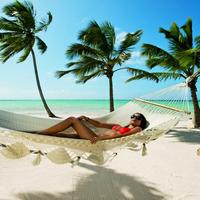 Отзыв от Анжелика - DTV виза